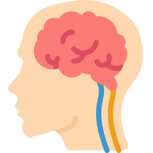 Icono de cerebro - Consulta neurológica en Sicuani Cusco